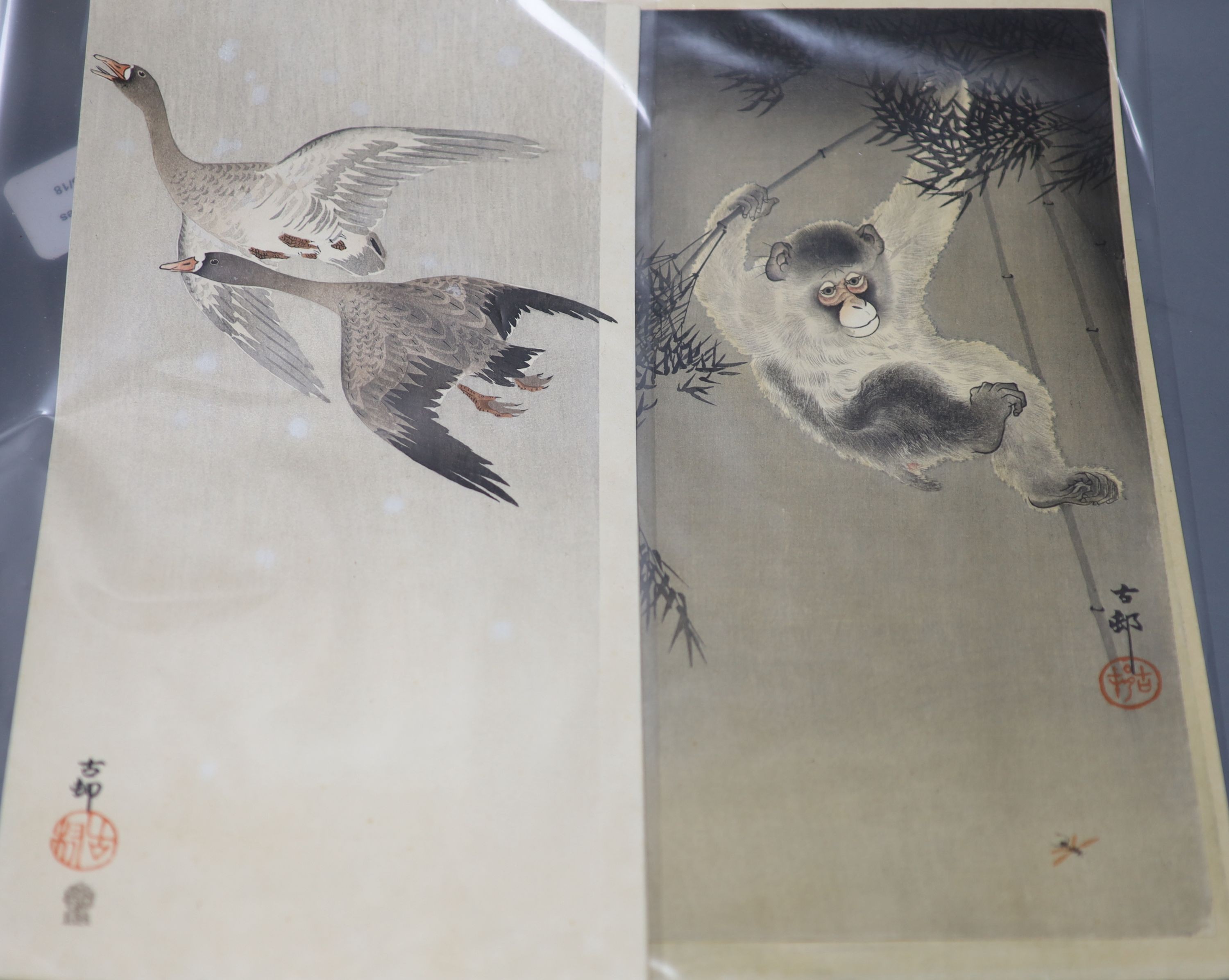 Six Ohara Koson woodblock prints of birds and a monkey, 36.5 x 19 cm